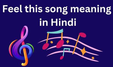 Feel this song meaning in Hindi | feel this song का मतलब क्या होता है ?