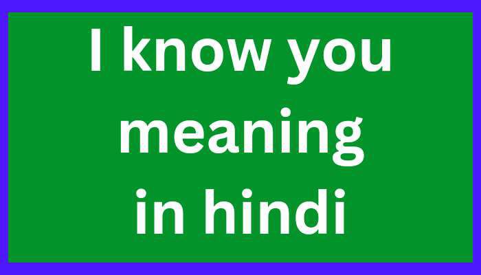 I know you meaning in hindi - i know you का मतलब क्या होता है?