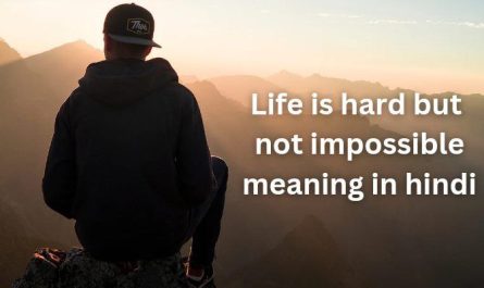 Life is hard but not impossible meaning in hindi