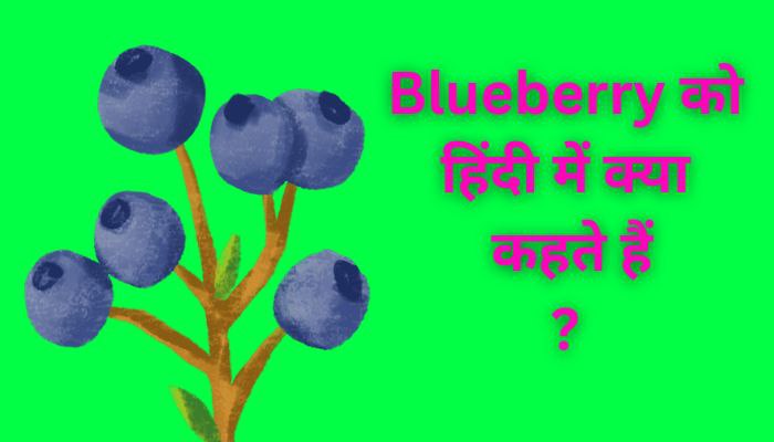 blueberry ko hindi mein kya kahate hain | ब्लूबेरी को हिंदी में क्या कहते हैं?
