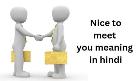 Nice to meet you meaning in hindi | Nice to meet you का मतलब क्या होता है?