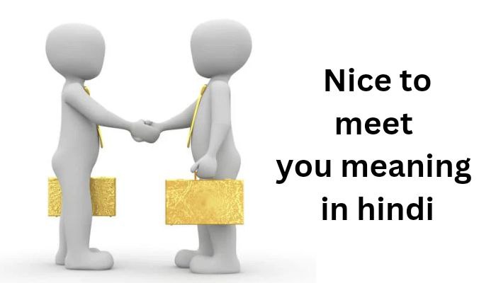 Nice to meet you meaning in hindi | Nice to meet you का मतलब क्या होता है?