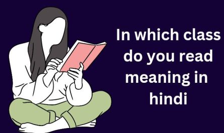 In which class do you read meaning in hindi
